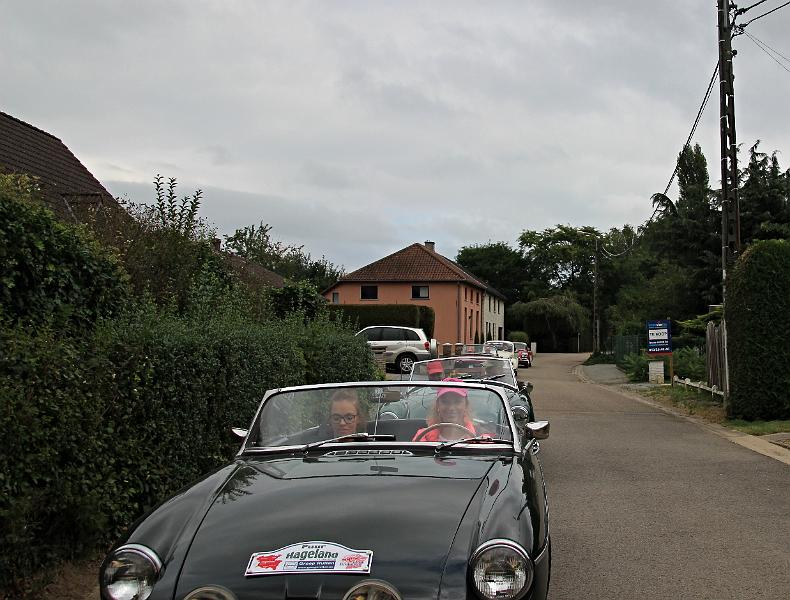 Puur Hageland (293).JPG